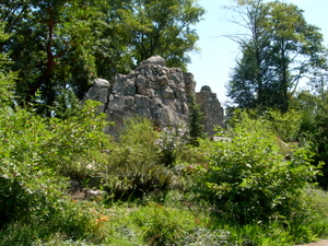 Photo by Chris Dent 4th August 2006