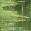 Clifton Park, Salford
