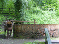 Clifton Park, Salford